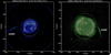 STEREO spacecraft catch comet diving into Sun thumbnail
