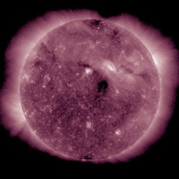 t0211.jpg