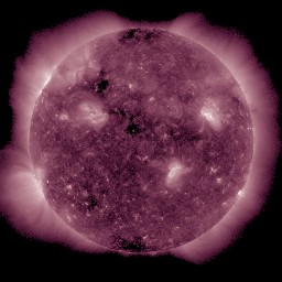 t0211.jpg