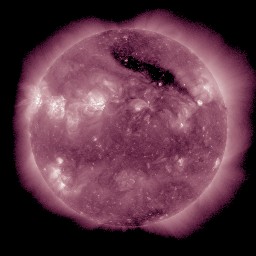 t0211.jpg