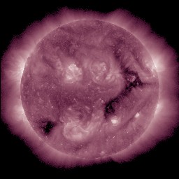 t0211.jpg