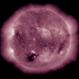t0211.jpg