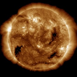 t0193.jpg