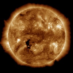 t0193.jpg