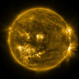 t0171.jpg
