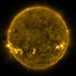 t0171.jpg
