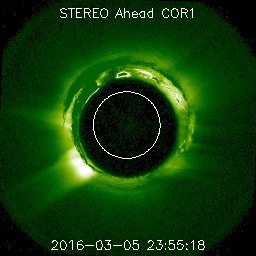 ahead/cor1/256/20160305_235518_s4c1A.jpg