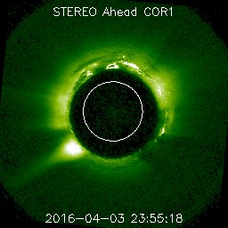 ahead/cor1/256/20160403_235518_s4c1A.jpg