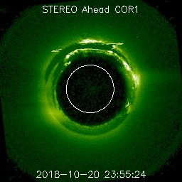 ahead/cor1/256/20181020_235524_s4c1A.jpg